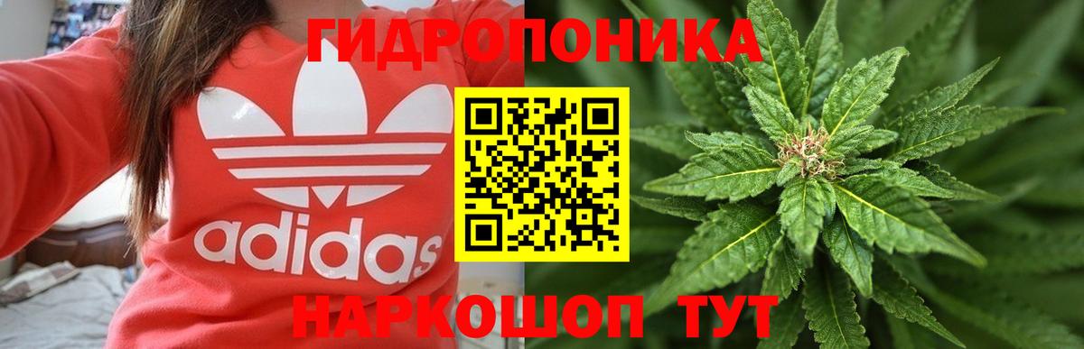 Бошки Шишки AK-47  Вход с VPN  Конопля сатива  Ишим 
